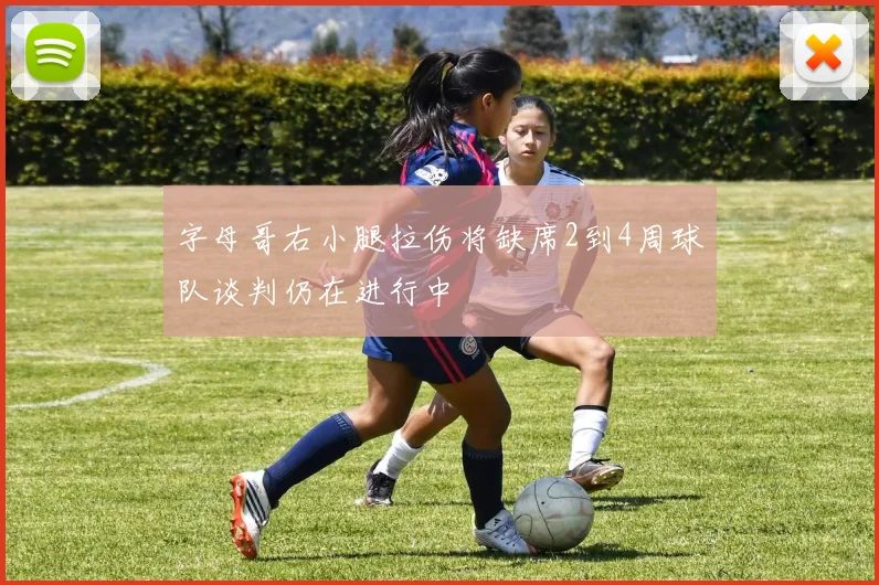字母哥右小腿拉伤将缺席2到4周球队谈判仍在进行中
