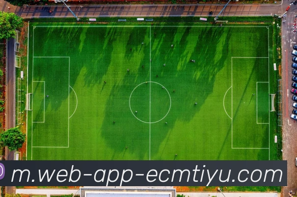 易倍体育平台生态图