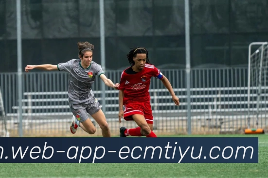 易倍体育APP 封面图